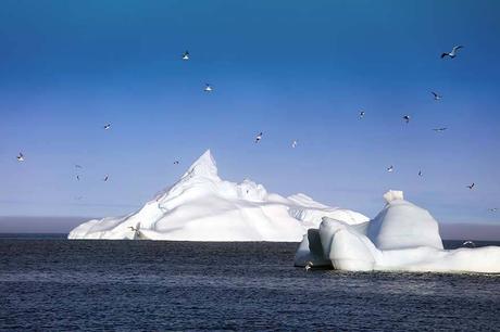 Icebergs-in-Disko-Bay-near-Disko-Island-in-Greenland.jpg.optimal ▷ Consejos de viaje a Groenlandia e itinerario fácil para Ilulissat y Disko Island