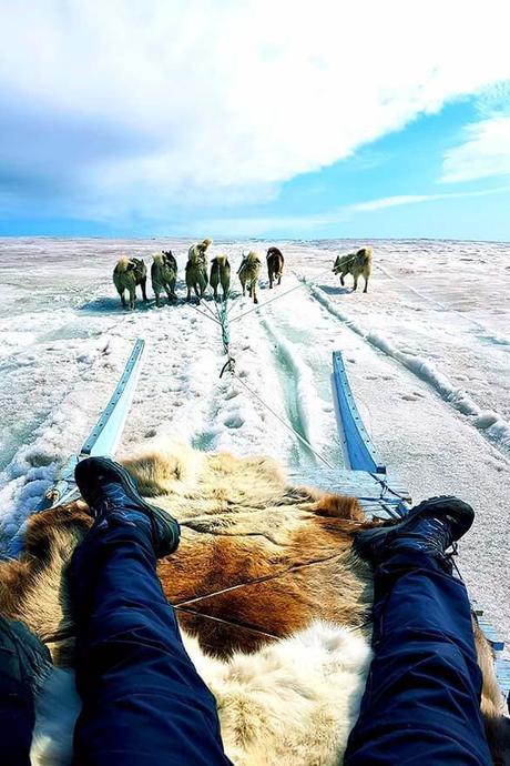 Dog-sledding-in-Greenland-in-summer.jpg.optimal ▷ Consejos de viaje a Groenlandia e itinerario fácil para Ilulissat y Disko Island