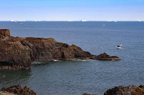 Whale-jumping-out-of-the-water-near-Kuannit-on-Disko-Island-in-Greenland.jpg.optimal ▷ Consejos de viaje a Groenlandia e itinerario fácil para Ilulissat y Disko Island