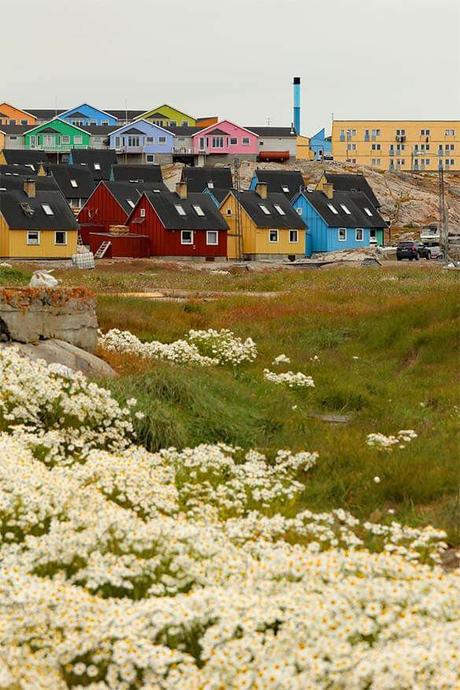 Flowers-and-colorful-houses-in-Ilulissat-Greenland.jpg.optimal ▷ Consejos de viaje a Groenlandia e itinerario fácil para Ilulissat y Disko Island