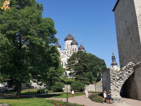 Qué ver en Tallin: Tallin en un día