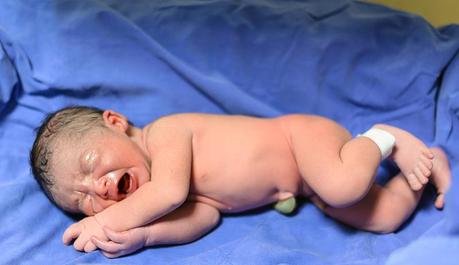 Guardar la sangre del cordón umbilical: pasos a seguir