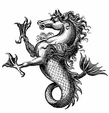 ¿Quién es el Mercado?