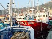 Pesca:Santoña bate récord descargas