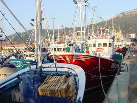 Pesca:Santoña bate récord de descargas