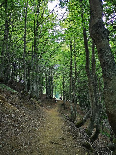 Circular al Midi desde Bious