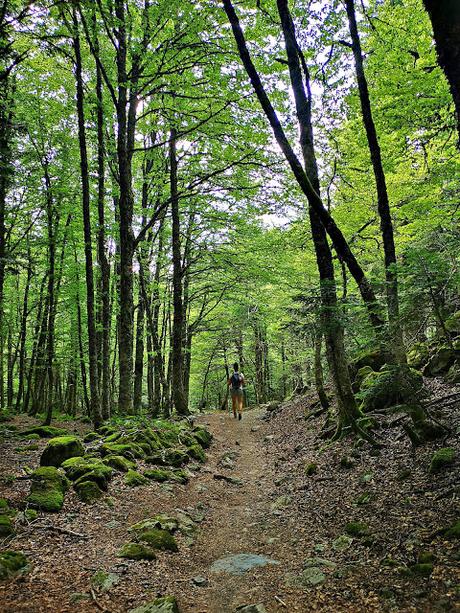 Circular al Midi desde Bious Circular al Midi desde Bious