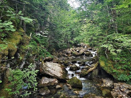 Circular al Midi desde Bious