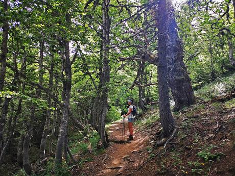 Circular al Midi desde Bious