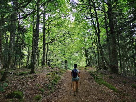 Circular al Midi desde Bious