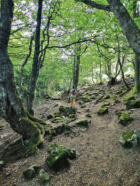 Circular al Midi desde Bious Circular al Midi desde Bious