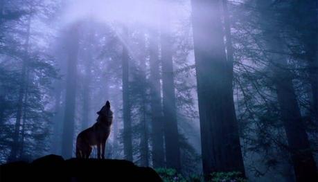 Banca (I): Años Edición, Disco Grasa Capitales