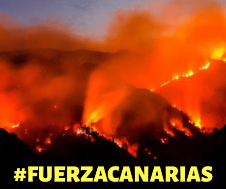 #FUERZACANARIAS : en Santander sabemos lo que es renacer del fuego
