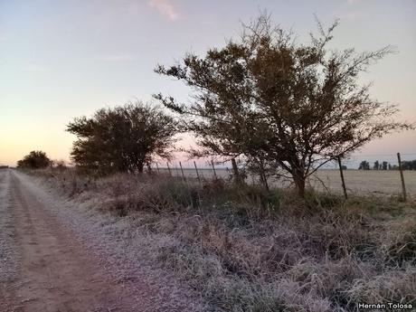 Día más frío del año