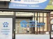 Veterinarias