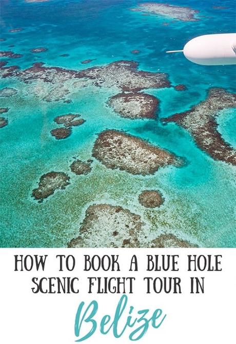 how-to-book-blue-hole-belize ▷ Cómo reservar un recorrido panorámico de Blue Hole en Belice