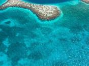 Cómo reservar recorrido panorámico Blue Hole Belice