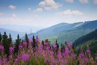 (7) La carretera Transalpina, sus paisajes y sus lagos.- ...