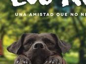 Reyes nueva película Perut Osnovikoff lanza tráiler fija fecha estreno