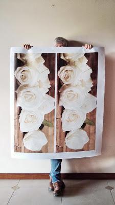Rosas gigantes