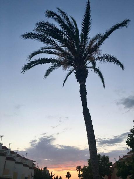 La hora violeta La imagen puede contener: cielo, árbol, nubes, exterior y naturaleza