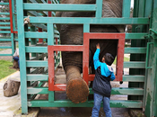 Concluye “curso verano 2019” parque ecológico “zacango”