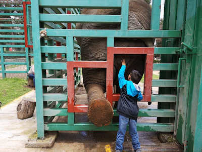 CONCLUYE “CURSO DE VERANO 2019” EN PARQUE ECOLÓGICO “ZACANGO”