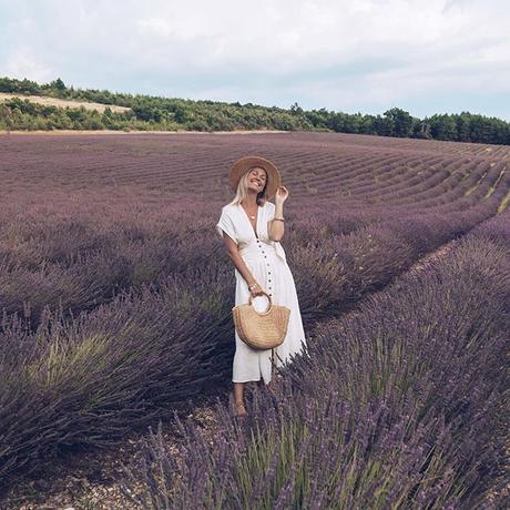 lavender-field-provence ▷ Los mejores destinos del mundo para ver flores