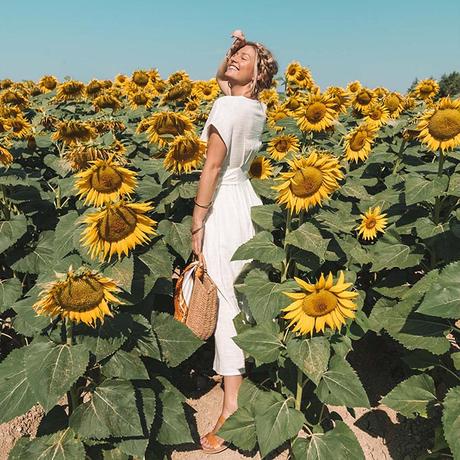 sunflower-field-provence ▷ Los mejores destinos del mundo para ver flores