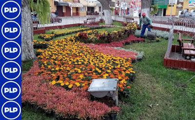 MPC REALIZA MANTENIMIENTO A PARQUES Y JARDINES...