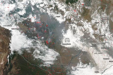 Incendios forestales en la Amazonia (19/08/2019)