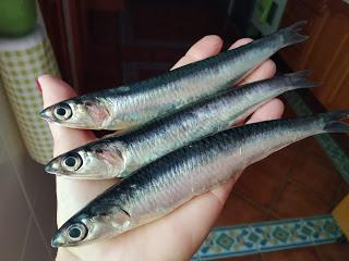 TARTAR DE BOQUERONES DE MALAGA CON PORRA DE MANGO Y AGUACATE