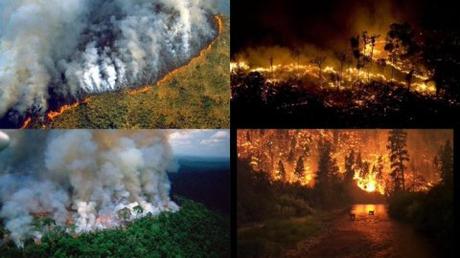 Bolsonaro acusa a las ONG de estar detrás de los incendios en la Amazonía