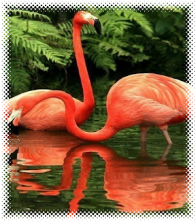  ¿Vacaciones en la ciudad o en la naturaleza?