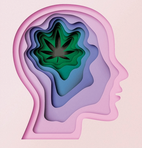 Cannabis, salud mental y trastornos del cerebro  – Curso online de la Universidad de Colorado en Boulder