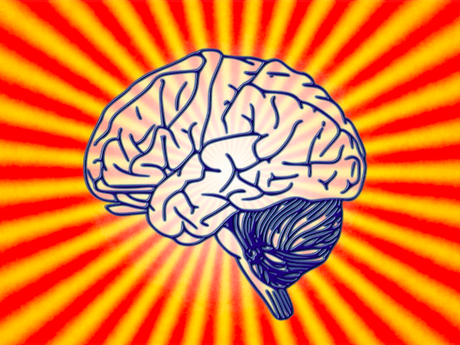 Neuromito: Se pueden ver los pensamientos a través de escaneos cerebrales