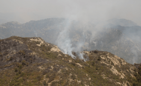 Detienen a dos por conato de incendio en Sierra de San Miguelito