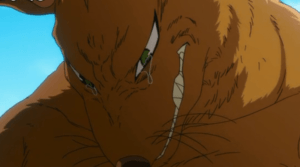 Ban el zorra de la avaricia