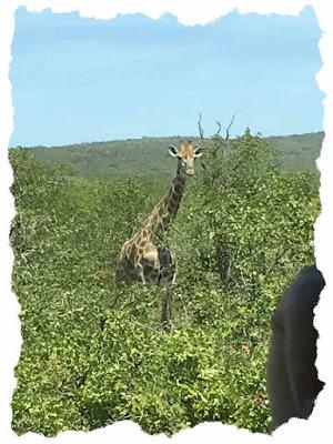 Turismo Internacional