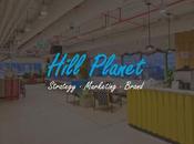 consultora española Hill Planet crece respecto 2018