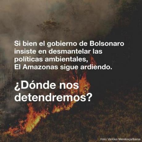 El Amazonas arde: diez imágenes que explican el incendio