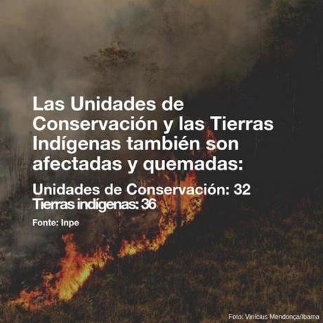 El Amazonas arde: diez imágenes que explican el incendio