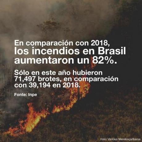 El Amazonas arde: diez imágenes que explican el incendio El Amazonas arde: diez imágenes que explican el incendio
