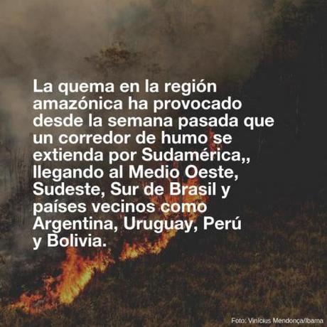 El Amazonas arde: diez imágenes que explican el incendio El Amazonas arde: diez imágenes que explican el incendio