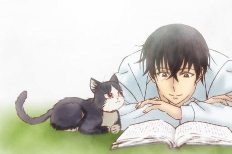 Estudios desvelan que Japón ama a los gatos porque son Tsunderes según Psicólogo