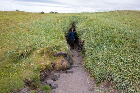 Falki.jpg.optimal ▷ 20 mejores cosas que hacer en la península de Snaefellsnes, Islandia