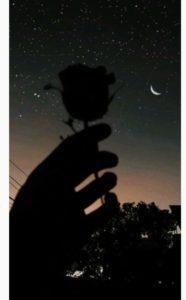 la valentía de un corazón