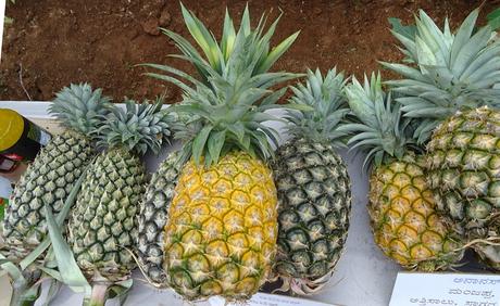 Impresionantes beneficios para la salud de la piña