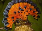 parques naturales. agosto.