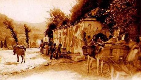 La imagen puede contener: exterior y naturaleza